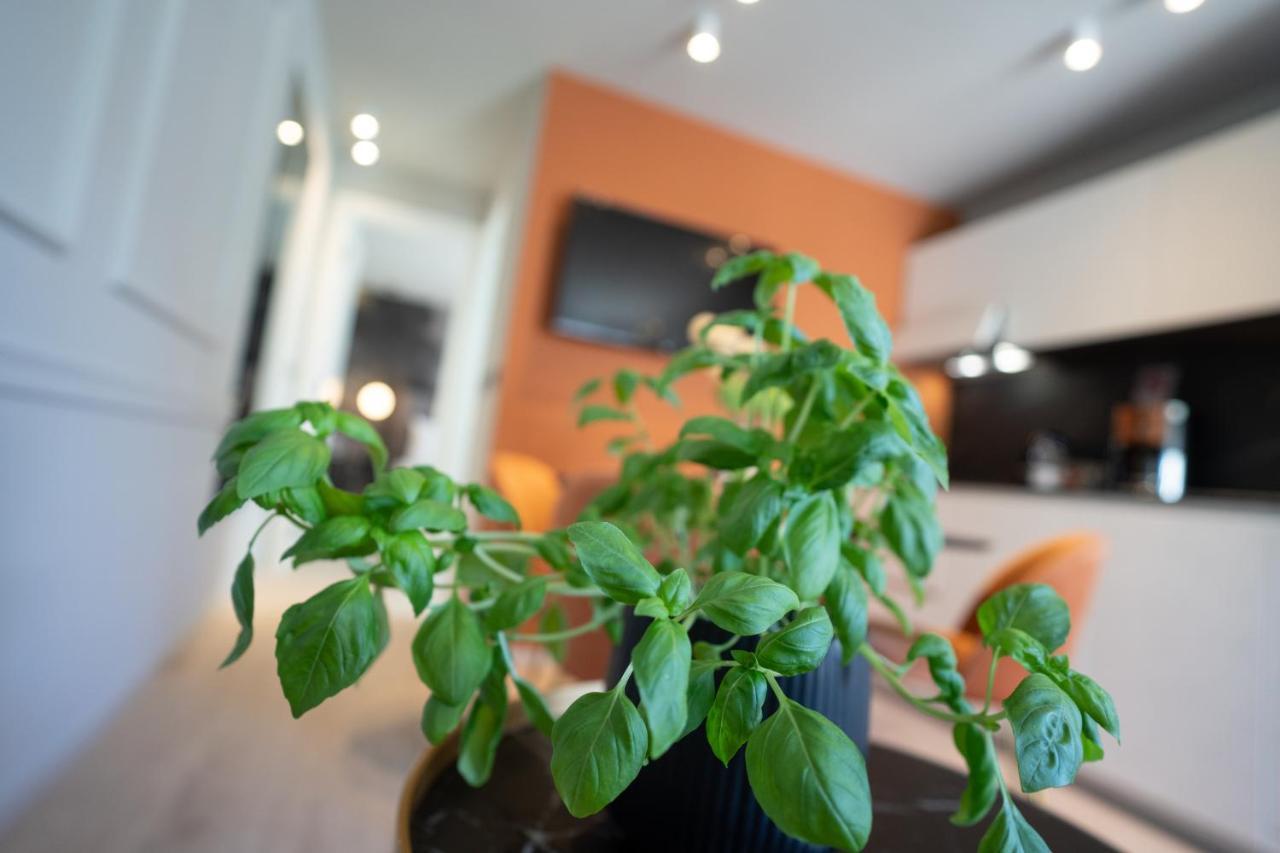 Prestige Studio Apartment Ровинь Экстерьер фото